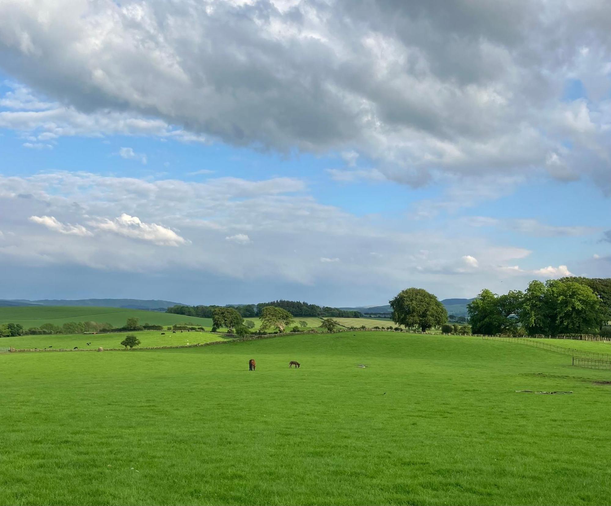 Wee Shepherds Hut Maybole Bagian luar foto