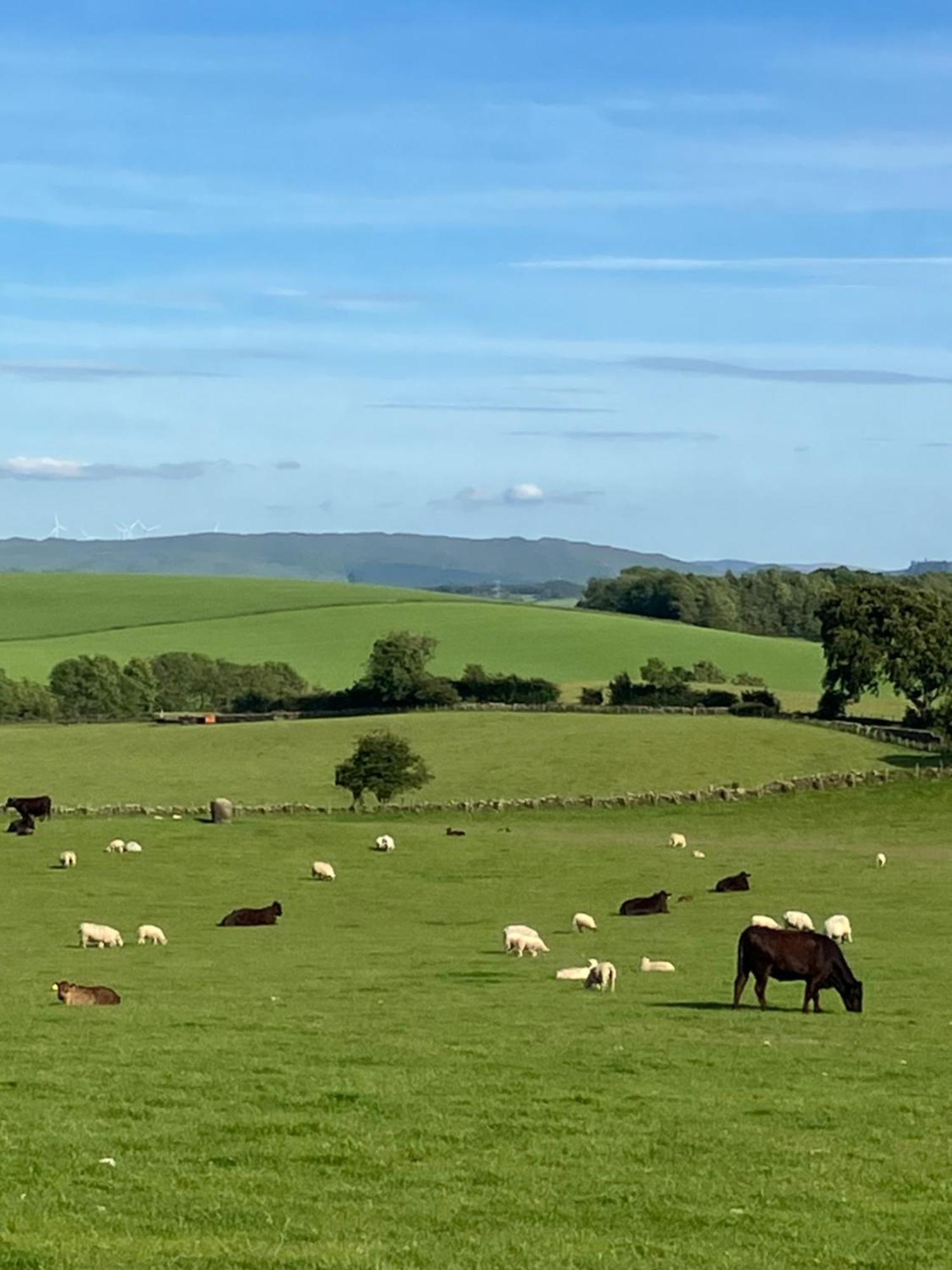 Wee Shepherds Hut Maybole Bagian luar foto